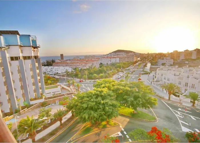 Dinastia D201 By Tenerife Rental & Sales